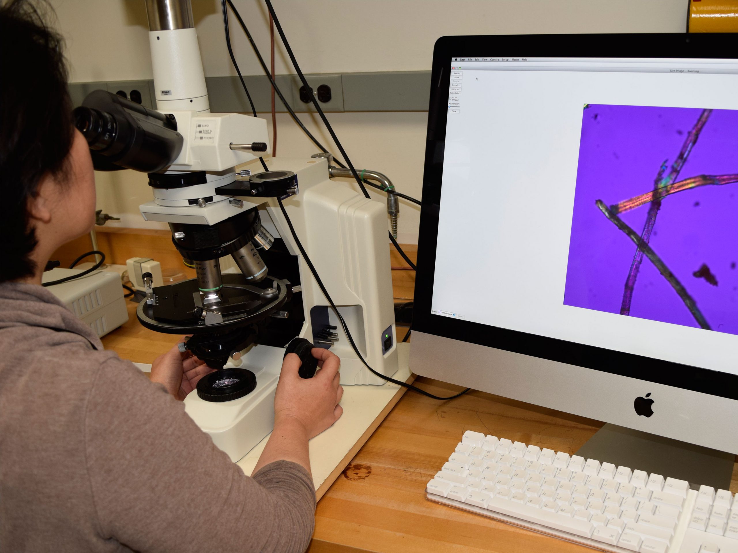 Scientist looks through light microscope at textile fibers which are rendered as images on the desktop monitor to their left.