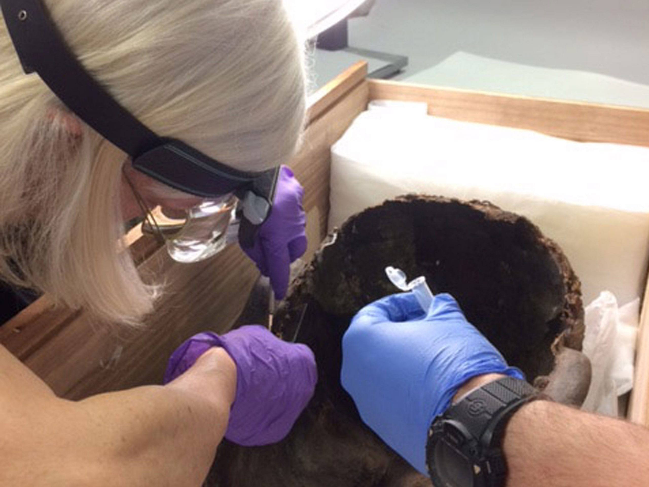 A conservator taking samples from the bodhisattva buddha for protein analysis.