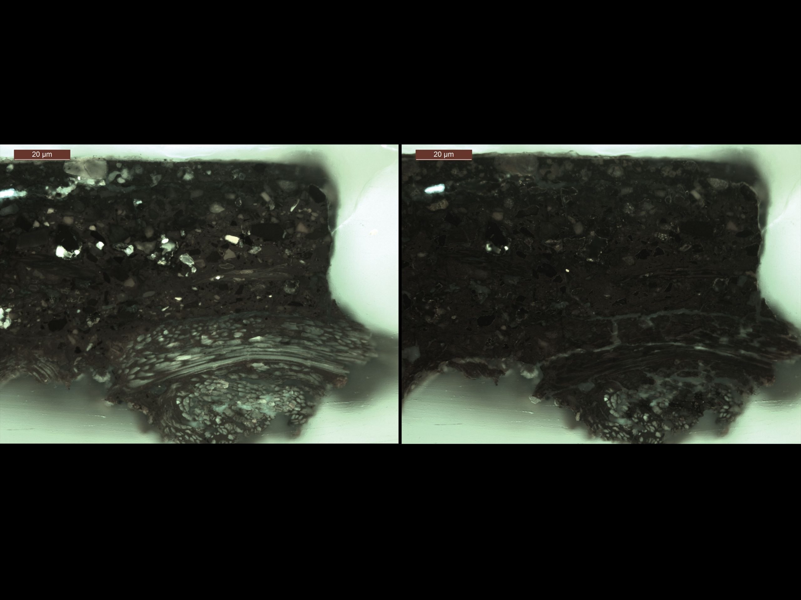 Collage showing a magnified Freer buddha statue cross section unstained on the left and the statue cross section, stained for starch, and displaying darkened fibers on the right.