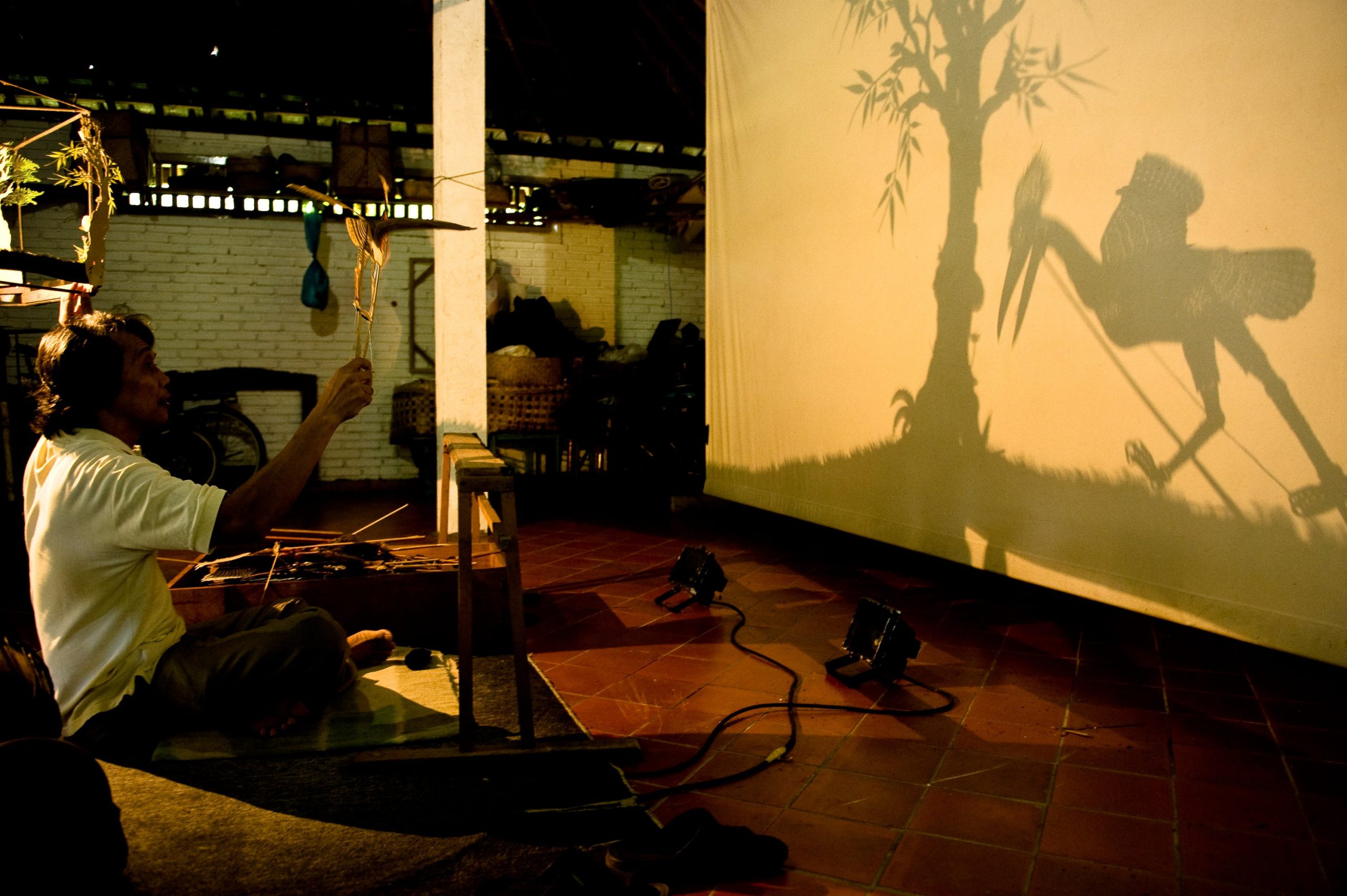 A puppeteer with a bird puppet, projecting the silhouette of a bird and a tree onto a screen.