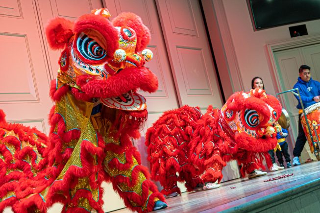 A lion dance performance on a stage, shot from the audience's viewpoint below.