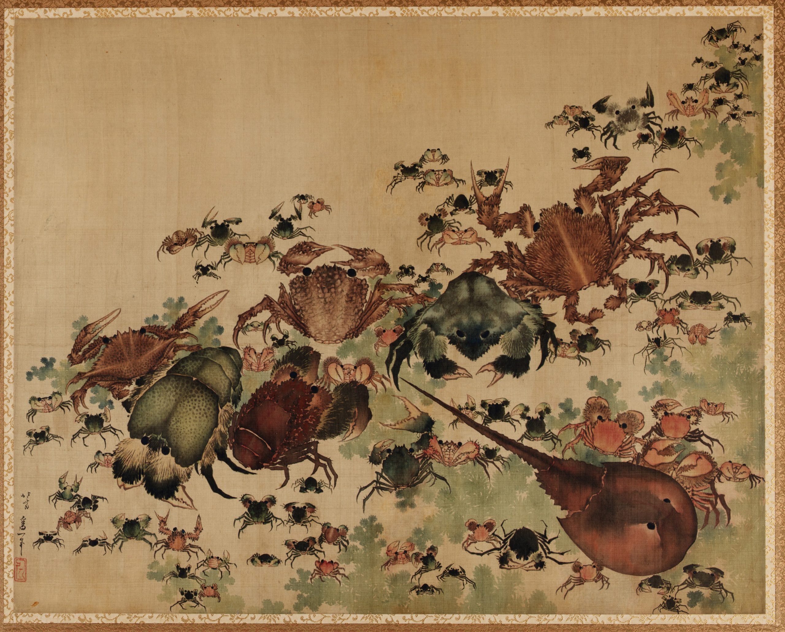 an illustration showing a variety of crabs, five larger surrounded by a large number of smaller crabs