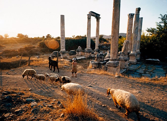 Sheep in foreground, ruins in background.