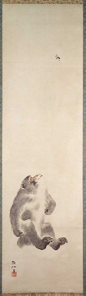 image of a monkey intently focused on the wasp high above