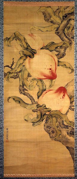 image of three voluptuous peaches in a tree
