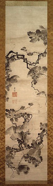 image of two grapevines